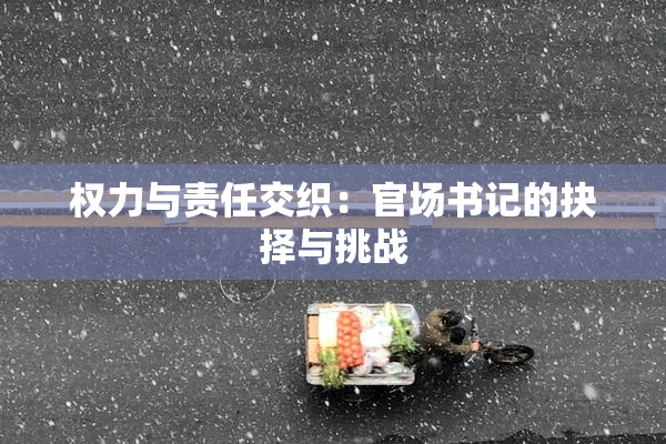 权力与责任交织：官场书记的抉择与挑战