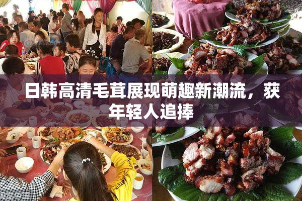 日韩高清毛茸展现萌趣新潮流，获年轻人追捧