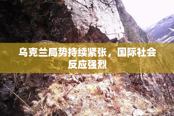 乌克兰局势持续紧张，国际社会反应强烈