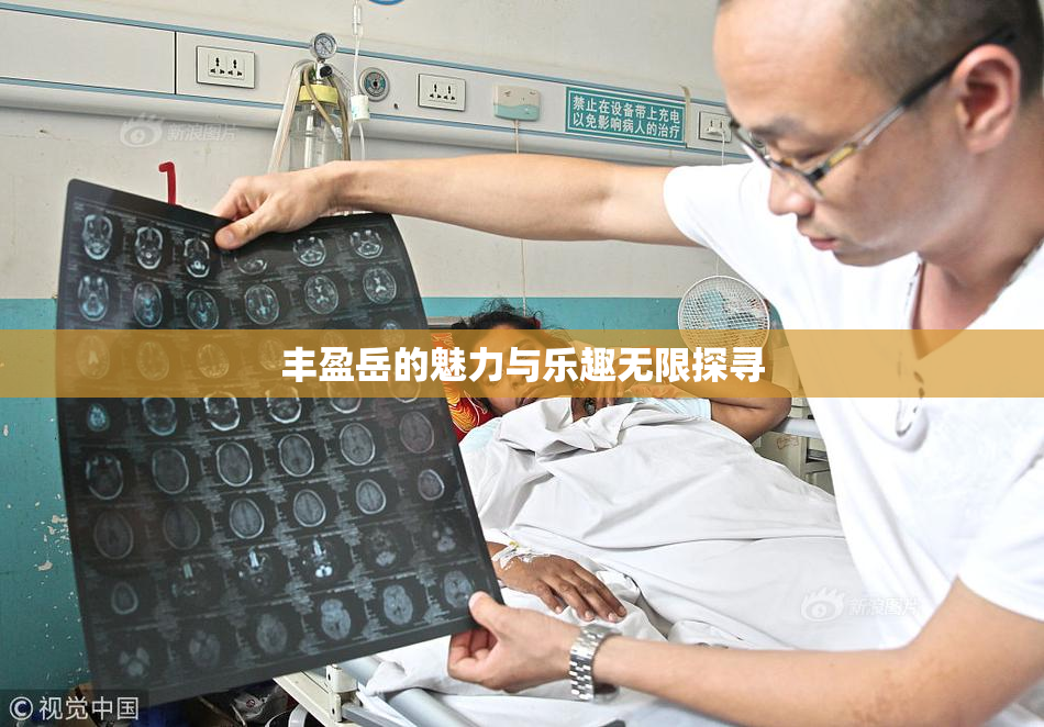 丰盈岳的魅力与乐趣无限探寻