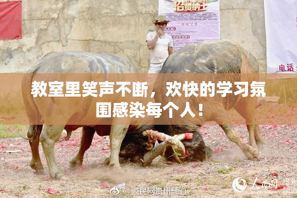 教室里笑声不断，欢快的学习氛围感染每个人！