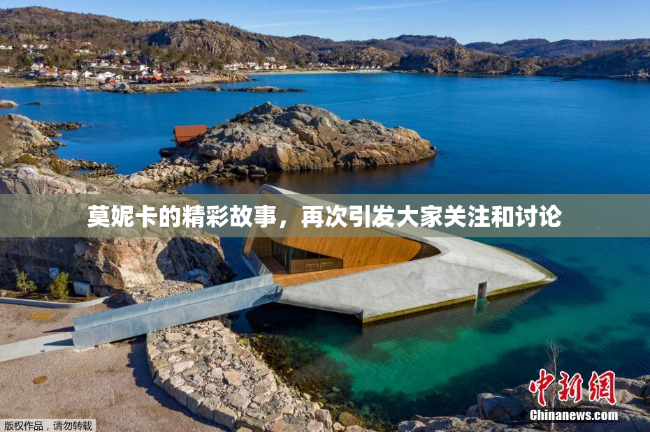 莫妮卡的精彩故事，再次引发大家关注和讨论