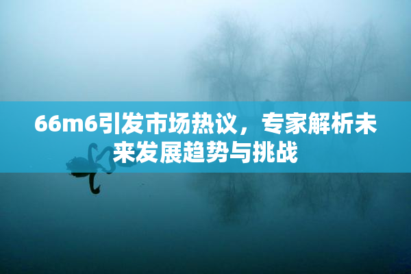 66m6引发市场热议，专家解析未来发展趋势与挑战