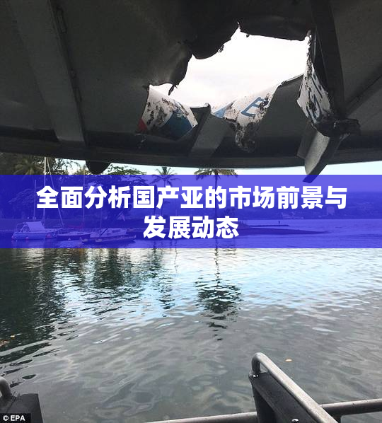 全面分析国产亚的市场前景与发展动态