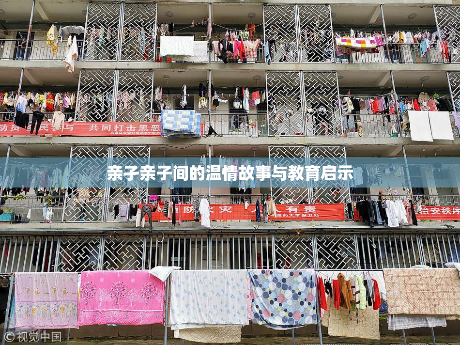 亲孑亲子间的温情故事与教育启示