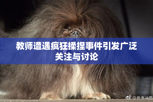 教师遭遇疯狂揉捏事件引发广泛关注与讨论