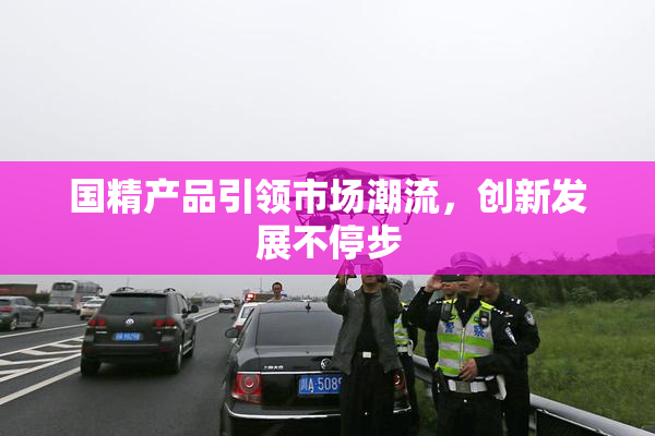 国精产品引领市场潮流，创新发展不停步