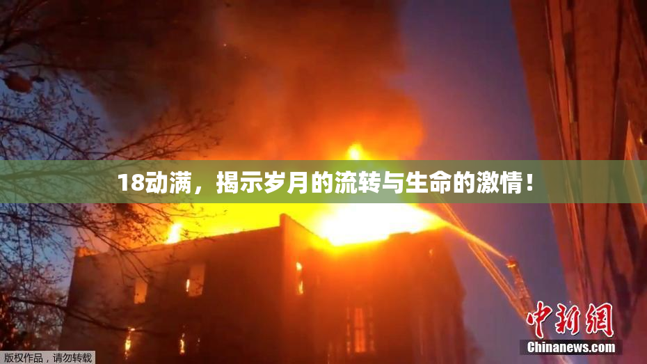 18动满，揭示岁月的流转与生命的激情！