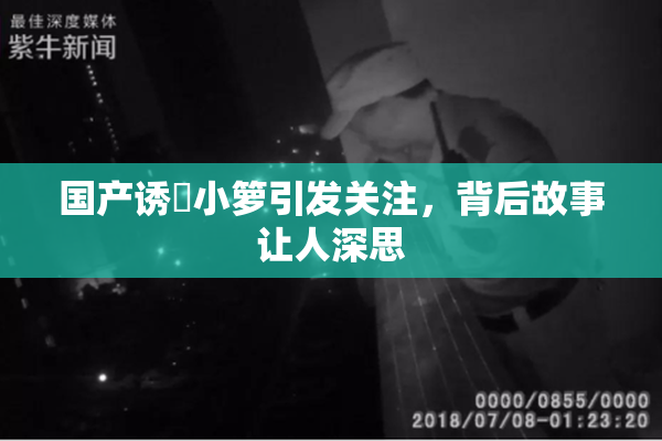 国产诱奷小箩引发关注，背后故事让人深思