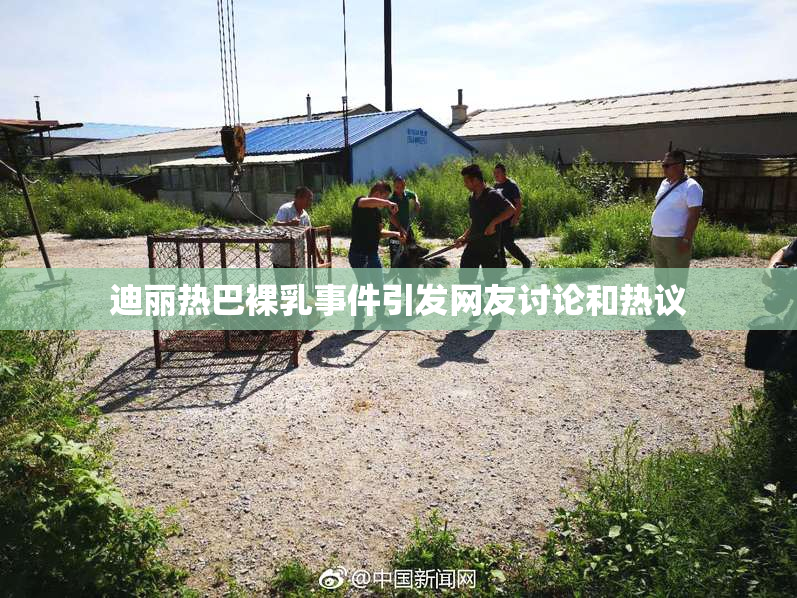 迪丽热巴裸乳事件引发网友讨论和热议