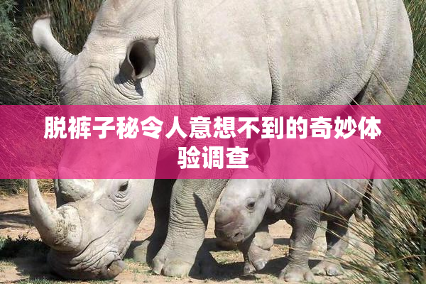 脱裤子秘令人意想不到的奇妙体验调查
