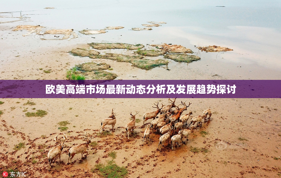 欧美高端市场最新动态分析及发展趋势探讨