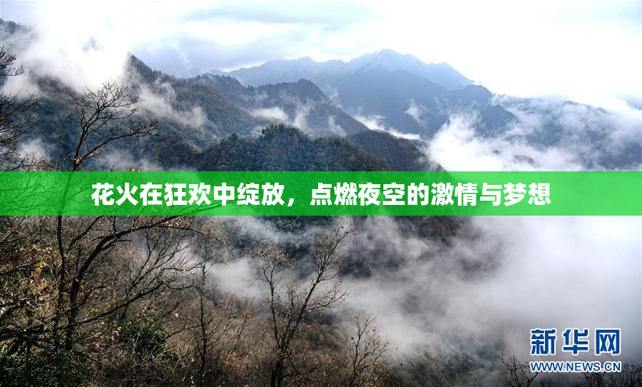 花火在狂欢中绽放，点燃夜空的激情与梦想