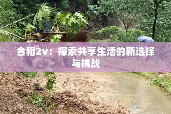 合租2v：探索共享生活的新选择与挑战