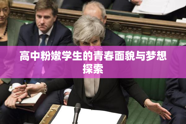 高中粉嫩学生的青春面貌与梦想探索