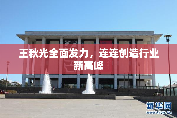 王秋光全面发力，连连创造行业新高峰