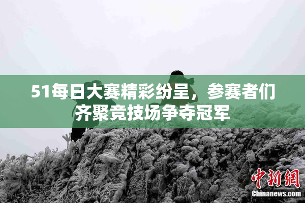 51每日大赛精彩纷呈，参赛者们齐聚竞技场争夺冠军