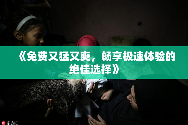 《免费又猛又爽，畅享极速体验的绝佳选择》