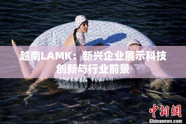 越南LAMK：新兴企业展示科技创新与行业前景