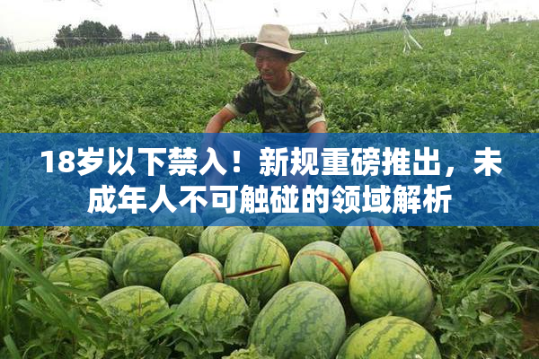 18岁以下禁入！新规重磅推出，未成年人不可触碰的领域解析