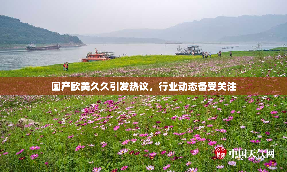 国产欧美久久引发热议，行业动态备受关注