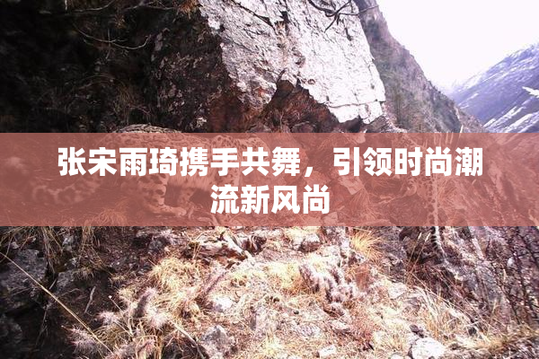 张宋雨琦携手共舞，引领时尚潮流新风尚