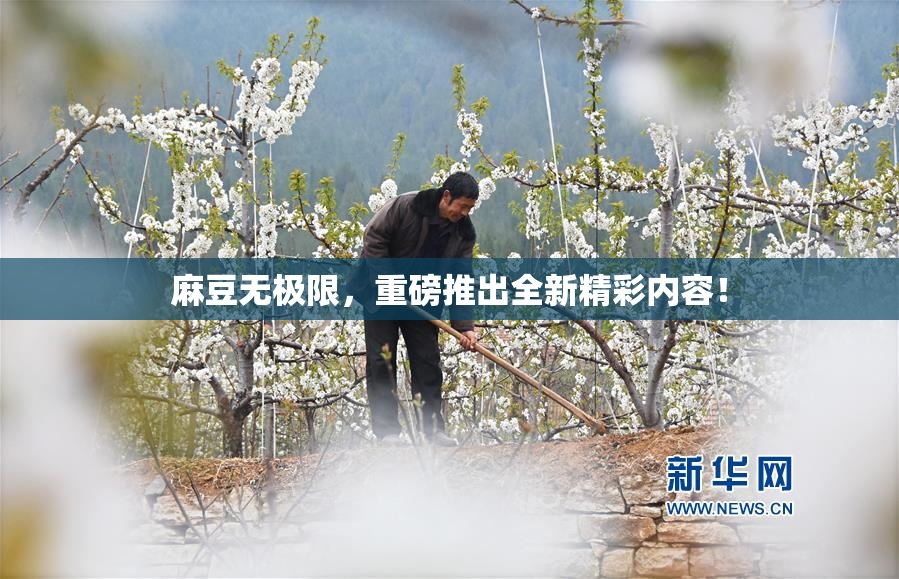 麻豆无极限，重磅推出全新精彩内容！