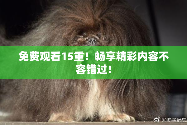 免费观看15重！畅享精彩内容不容错过！