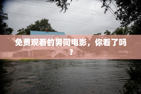 免费观看的男同电影，你看了吗？