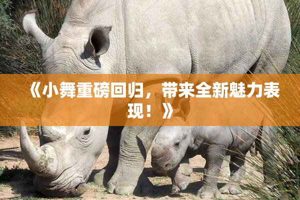 《小舞重磅回归，带来全新魅力表现！》