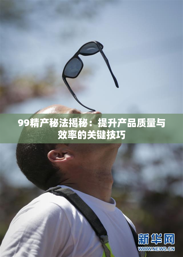 99精产秘法揭秘：提升产品质量与效率的关键技巧
