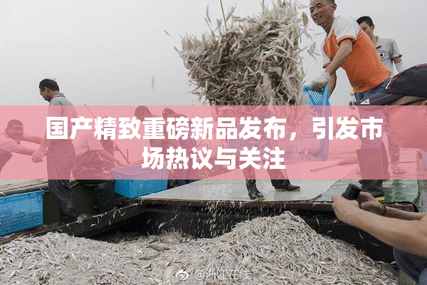 国产精致重磅新品发布，引发市场热议与关注