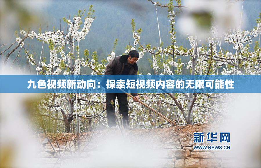 九色视频新动向：探索短视频内容的无限可能性