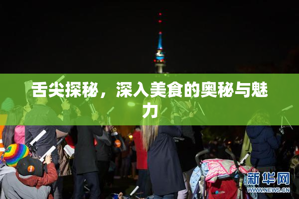 舌尖探秘，深入美食的奥秘与魅力
