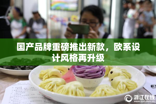 国产品牌重磅推出新款，欧系设计风格再升级