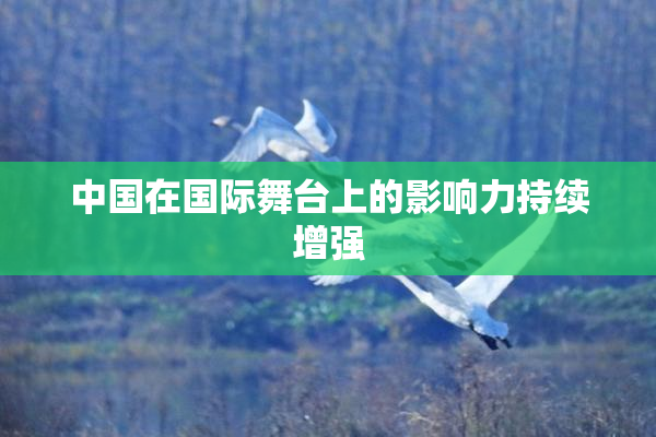 中国在国际舞台上的影响力持续增强