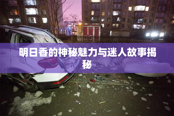 明日香的神秘魅力与迷人故事揭秘