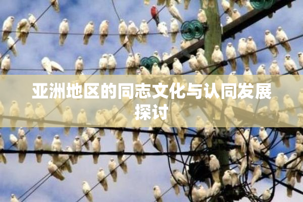 亚洲地区的同志文化与认同发展探讨