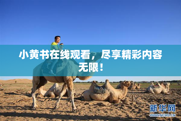 小黄书在线观看，尽享精彩内容无限！