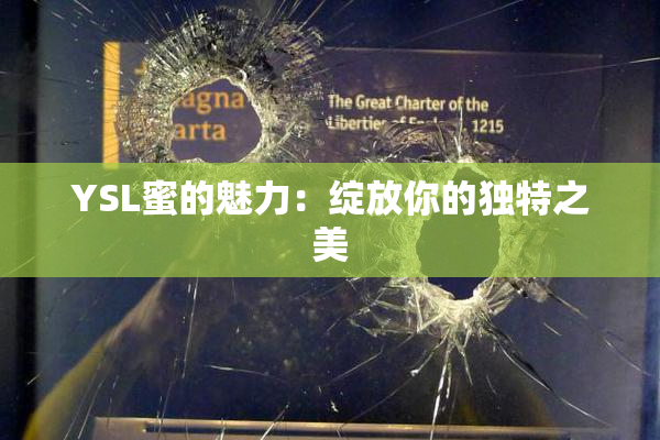 YSL蜜的魅力：绽放你的独特之美