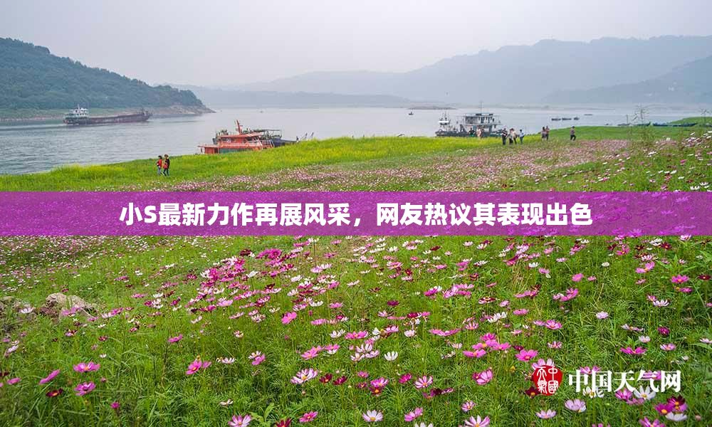 小S最新力作再展风采，网友热议其表现出色