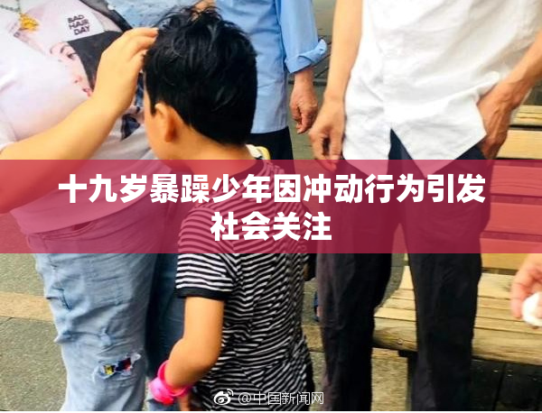 十九岁暴躁少年因冲动行为引发社会关注