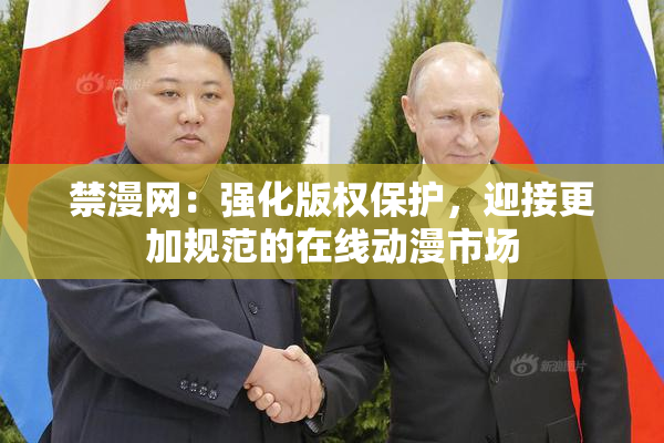 禁漫网：强化版权保护，迎接更加规范的在线动漫市场