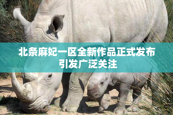 北条麻妃一区全新作品正式发布 引发广泛关注