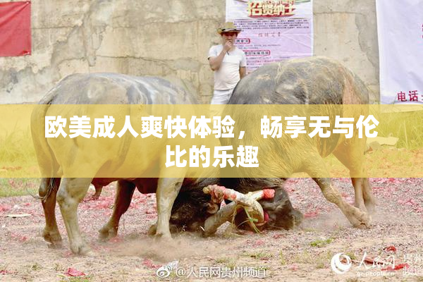欧美成人爽快体验，畅享无与伦比的乐趣
