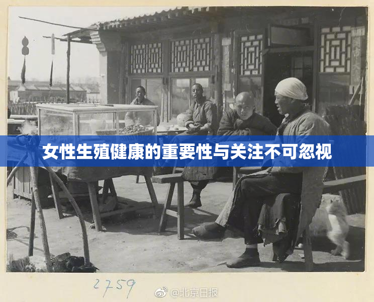 女性生殖健康的重要性与关注不可忽视