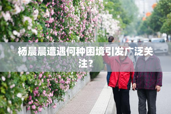 杨晨晨遭遇何种困境引发广泛关注？
