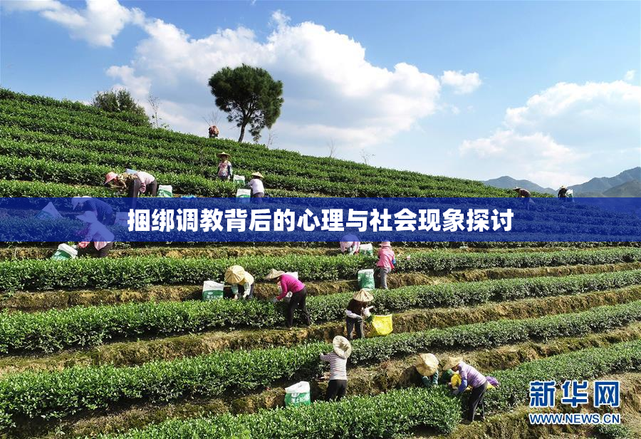 捆绑调教背后的心理与社会现象探讨
