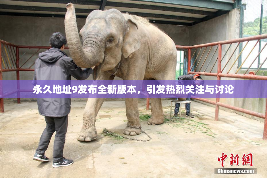 永久地址9发布全新版本，引发热烈关注与讨论