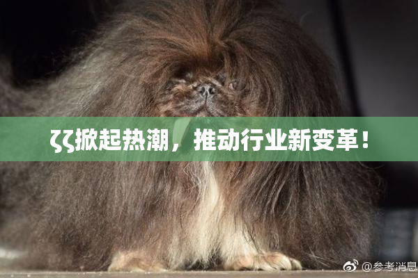 ζζ掀起热潮，推动行业新变革！